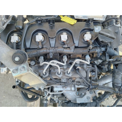 MOTORE COMPLETO NISSAN NAVARA SERIE YD25 190 CV 141 KW YD25 DIESEL 2488 (05-15) Codice OE: YD25 190 CV 141 KW