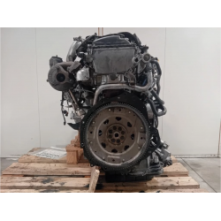MOTORE COMPLETO NISSAN NAVARA SERIE YD25 DDTI 174 CV 128 KW YD25 DIESEL 2488 (05-15)
