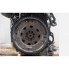 MOTORE COMPLETO NISSAN NAVARA SERIE YD25 DDTI 174 CV 128 KW YD25 DIESEL 2488 (05-15)