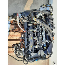 MOTORE COMPLETO KIA Rio 4° Serie D4FC 90CV D4FC diesel 1396 (11) 1703460