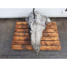 Complete Manual Transmission Audi A4 Avant (8W5) QFJ 0CL300041R001 DETA Diesel 1968 (15)