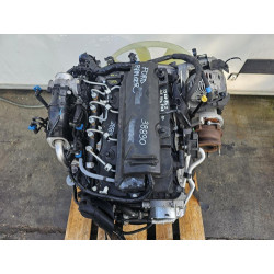 MOTORE COMPLETO FORD RANGER (TKE) QJ25 160CV 118KW QJ2W DIESEL 22 (11-)