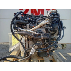 MOTORE COMPLETO FORD FOCUS BERLINA 4° SERIE XWDB/D/E 120 CV 89 KW XWDB/D/E DIESEL 1499 (08-11)