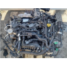 MOTORE COMPLETO FORD FIESTA 6° SERIE SFJA/C/D 101 CV 75 KW SFJA/C/D BENZINA 999 (08-17)