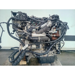 Complete Engine FORD FOCUS S. WAGON 4th SERIES T3DB 95 HP T3DB DIESEL 1560cc (08-11)