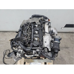 MOTORE COMPLETO NISSAN NAVARA SERIE YD25 101025X00A YD25 DIESEL 25 (05-15)