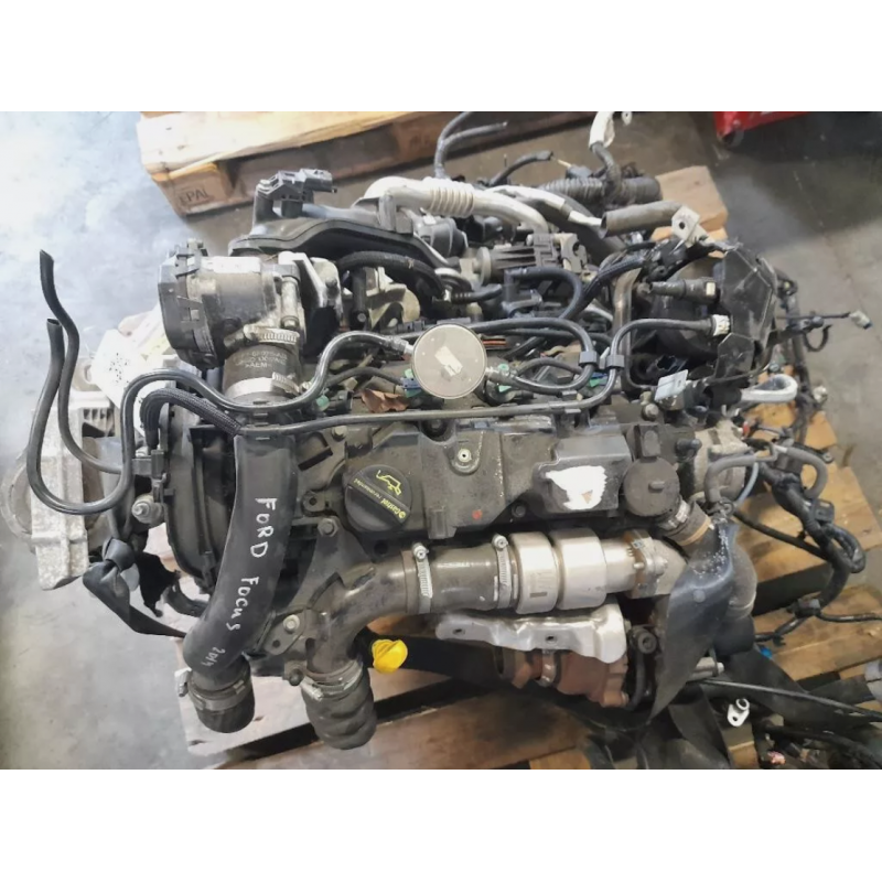 MOTORE COMPLETO FORD FOCUS BERLINA 4° SERIE XXDC 95 CV 70 KW XXDC/D DIESEL 1499 (08-11)