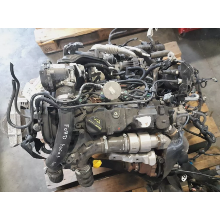 MOTORE COMPLETO FORD FOCUS BERLINA 4° SERIE XXDC 95 CV 70 KW XXDC/D DIESEL 1499 (08-11)