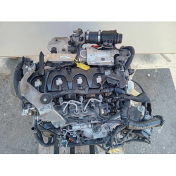 MOTORE COMPLETO NISSAN NAVARA SERIE YD25 190 CV 141 KW YD25 DIESEL 2488 (05-15)