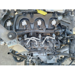 MOTORE COMPLETO NISSAN NAVARA SERIE YD25 190 CV 141 KW YD25 DIESEL 2488 (05-15)