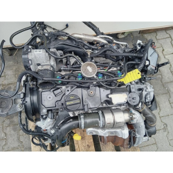 MOTORE COMPLETO FORD FOCUS BERLINA 6° SERIE XWDB 120 CV 89 KW XWDB/D/E DIESEL 1499 (15-18)