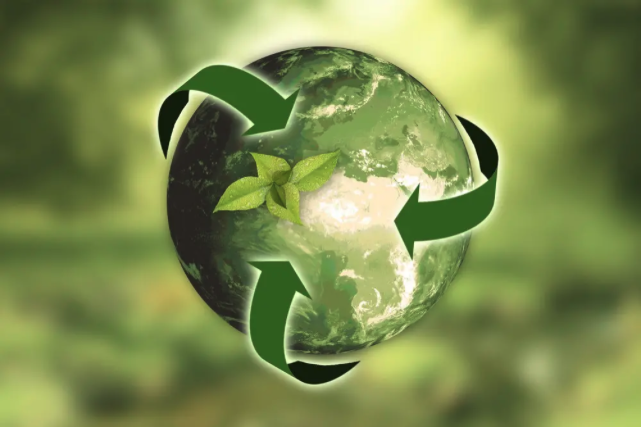 Sostenibilità Ambientale e Ricambi Usati: Un Passo Verso un Futuro più Verde